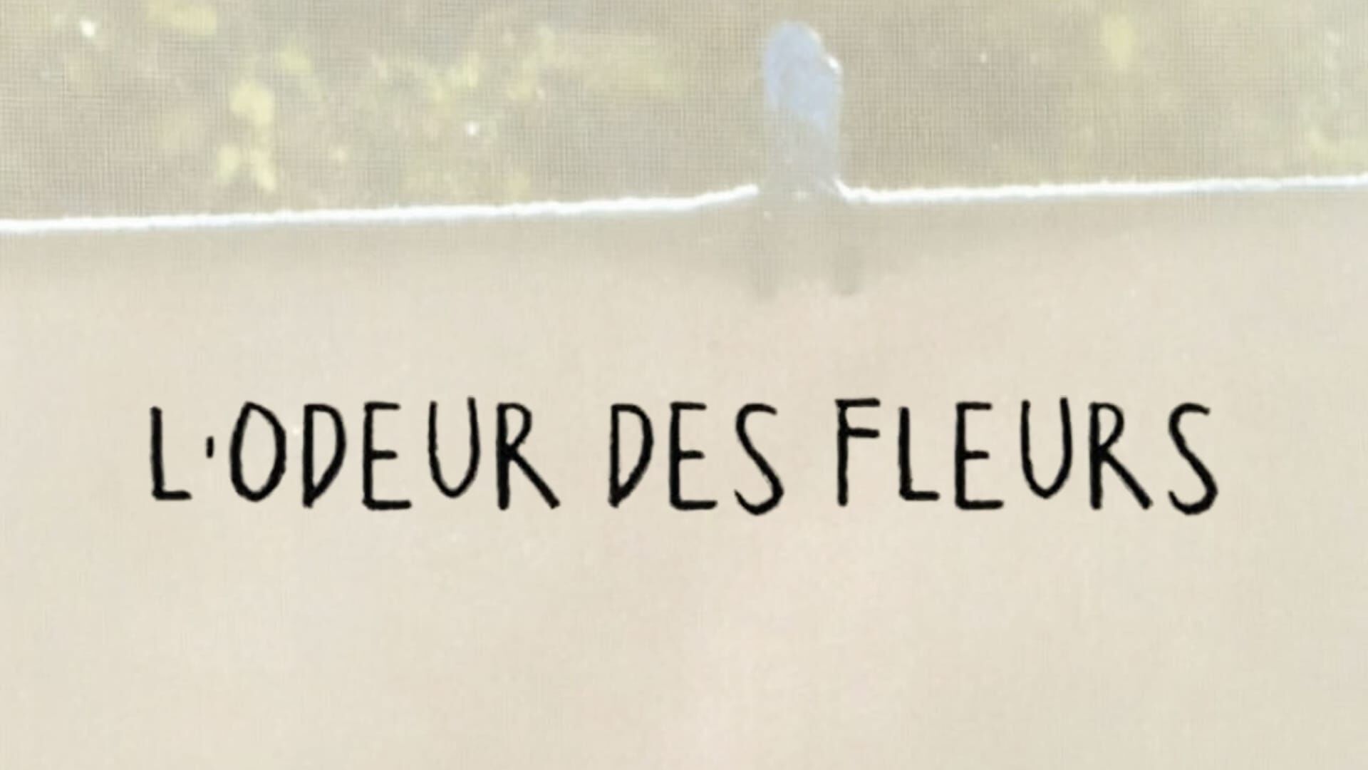 L'odeur des fleurs