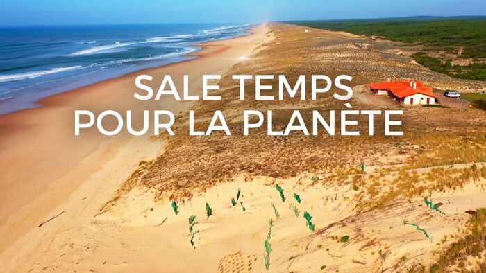 Landes de Gascogne, le vent l'emportera
