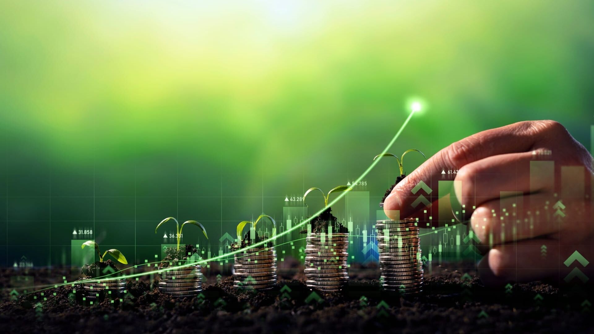 Financial Infidelity