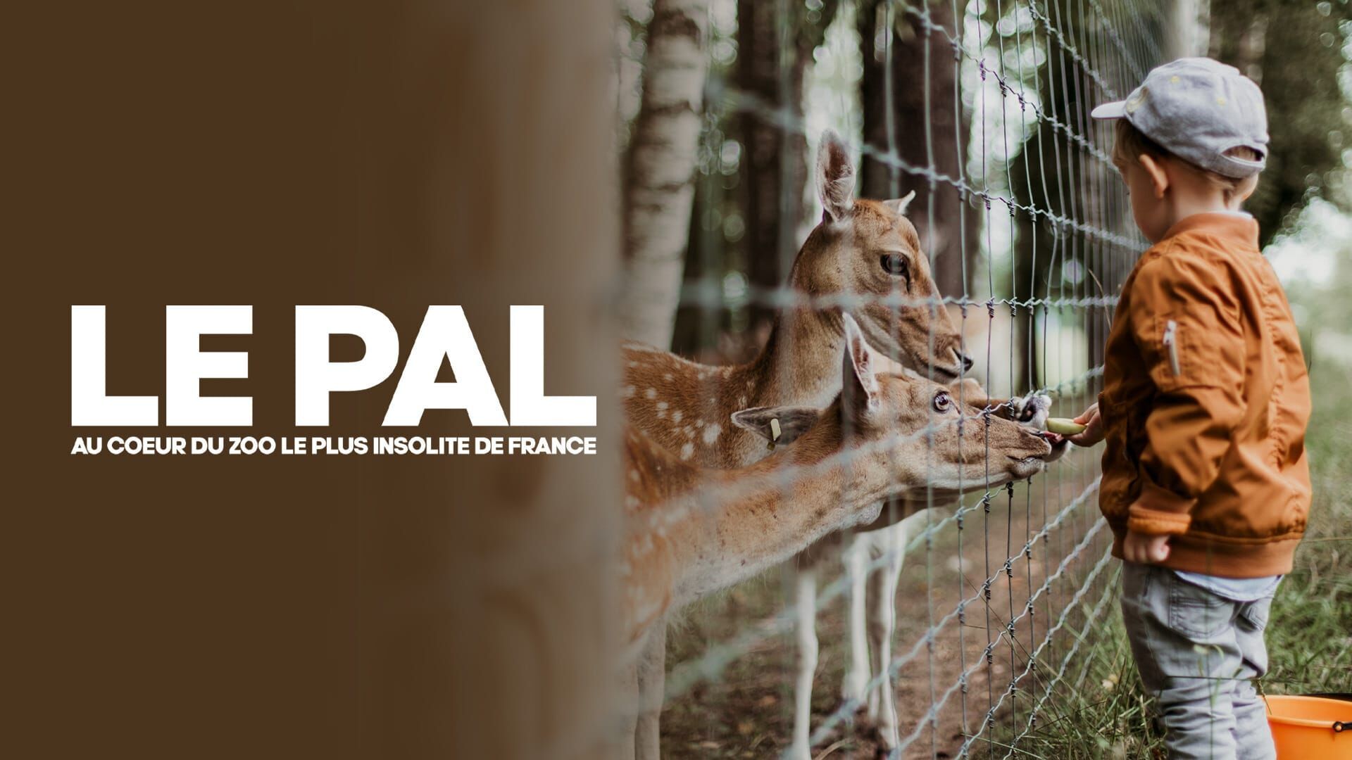 Le PAL : au coeur du zoo le plus insolite de France