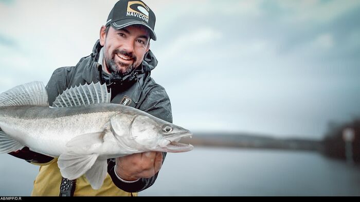 Carnassiers d'automne, suivez le guide