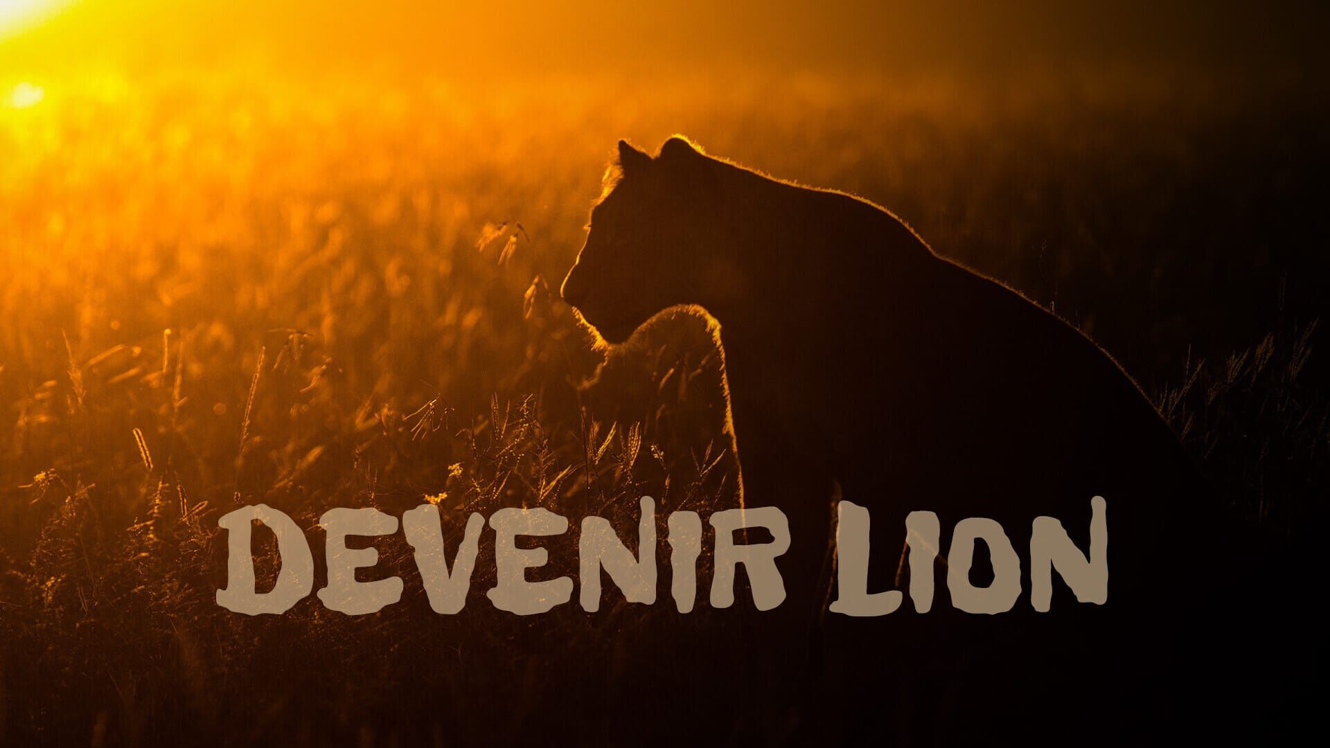 Frères lions : Le rêve d'un royaume