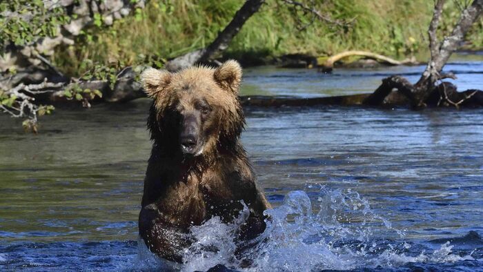 Kamchatka