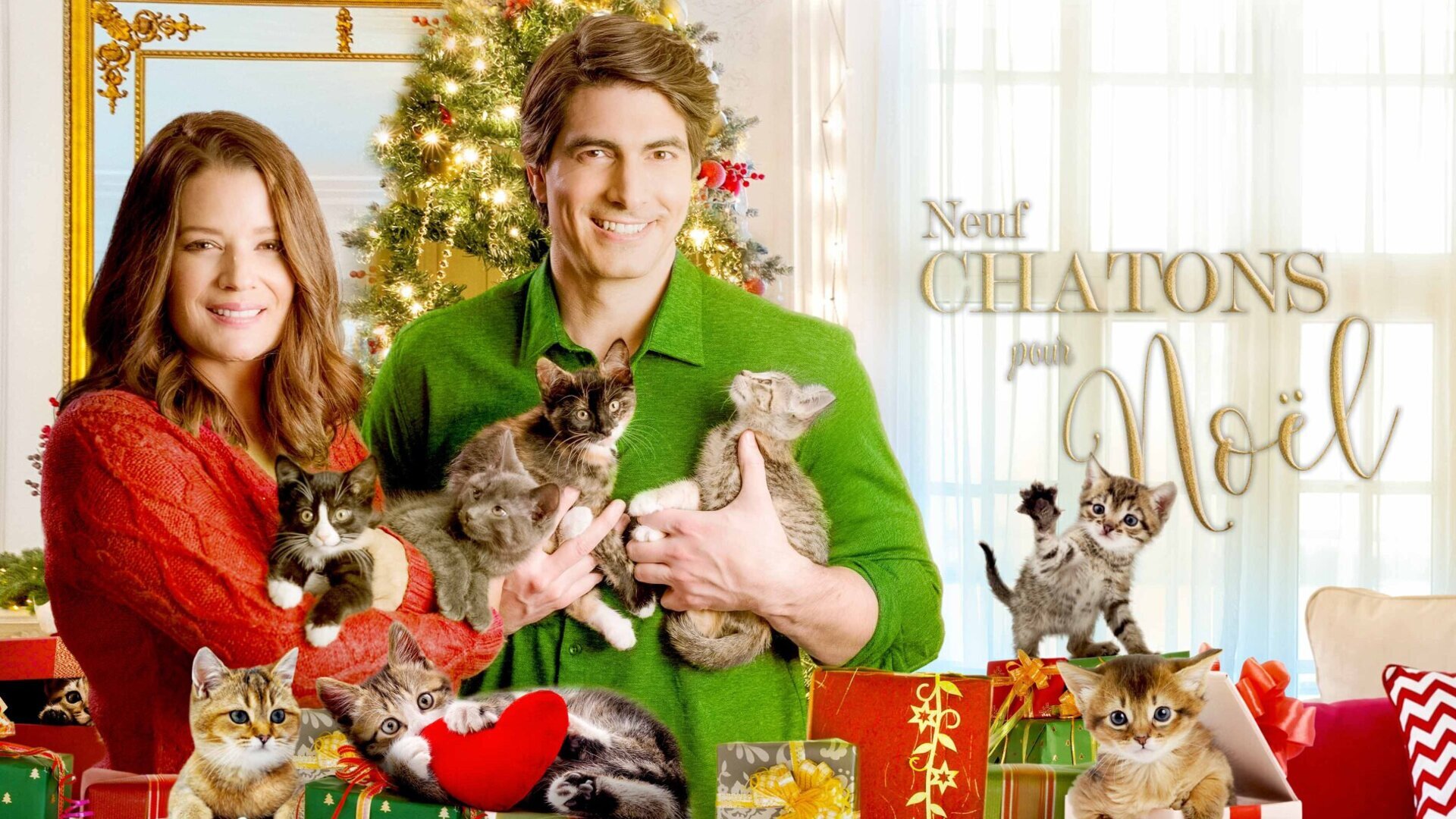 Neuf chatons pour Noël