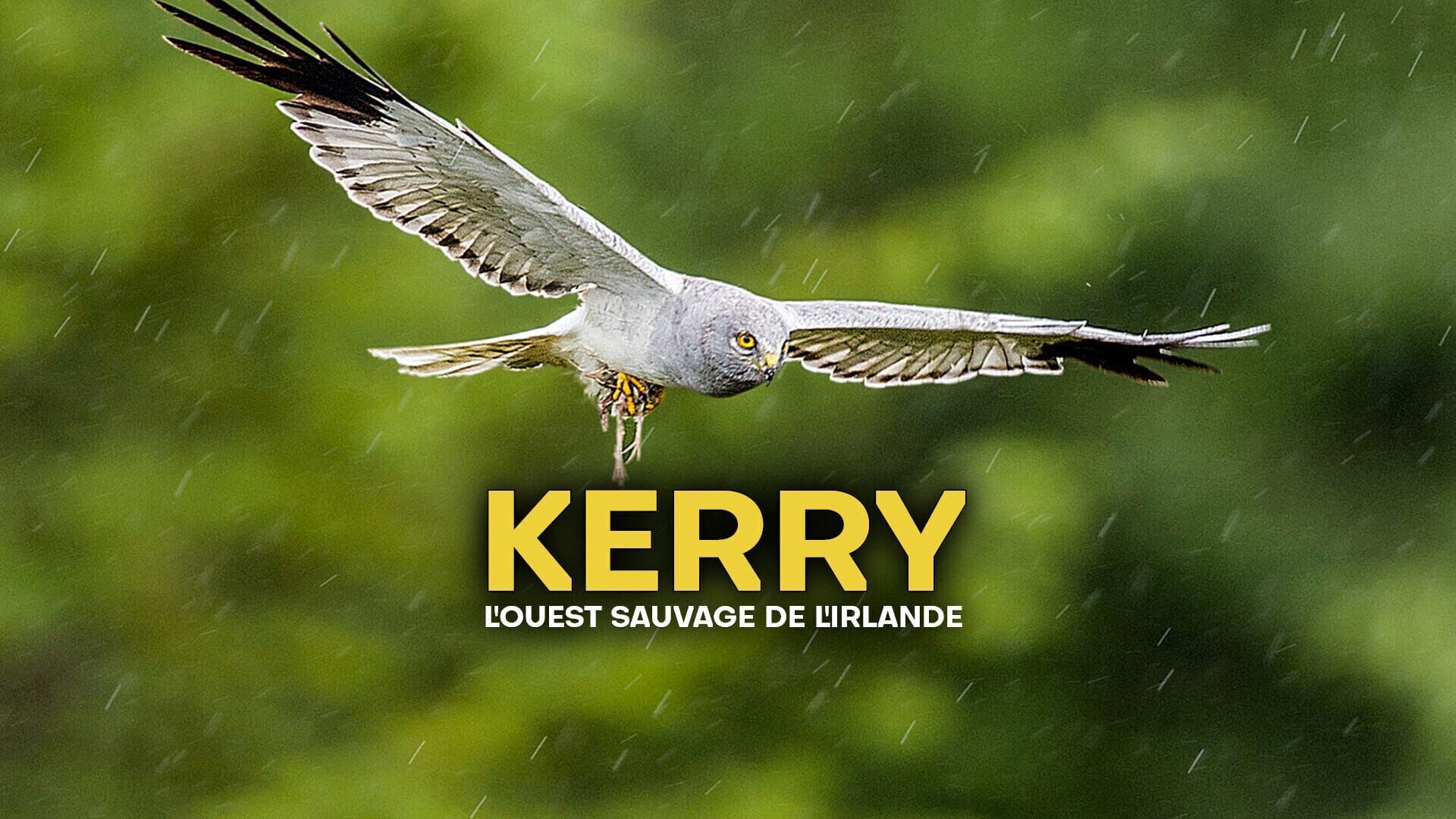 Kerry, l'Ouest sauvage de l'Irlande