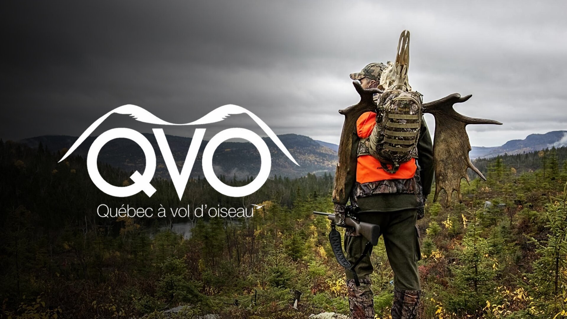 Cerf de Virginie Anticosti Sepaq