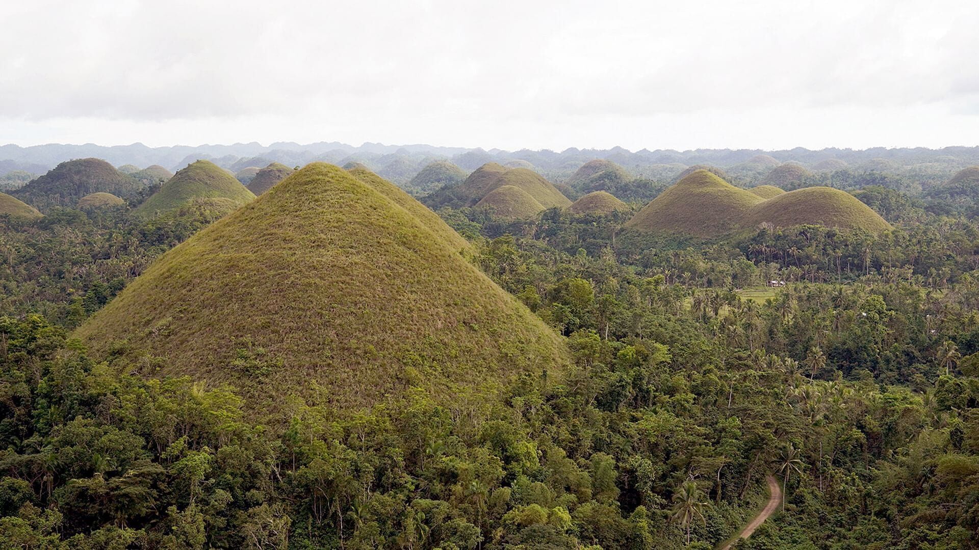 Les trésors naturels de Bohol