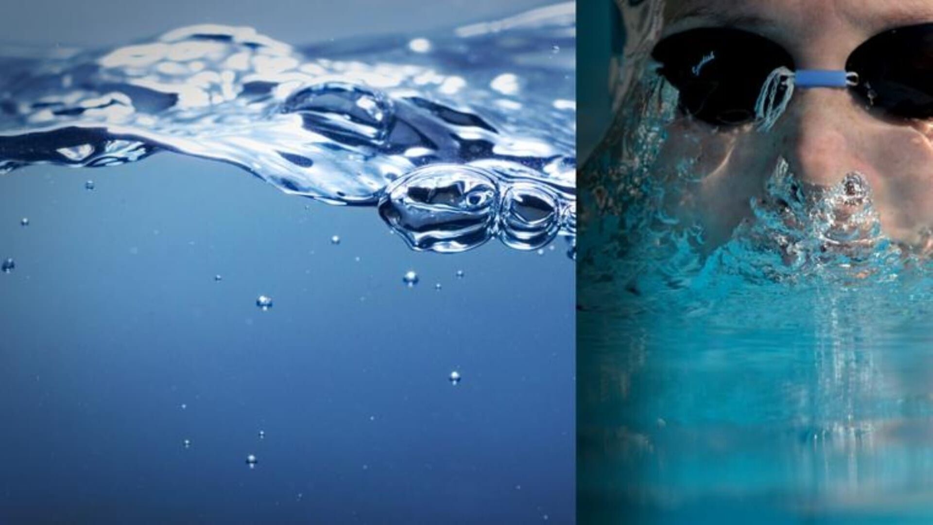 Natation : Championnats d'Europe