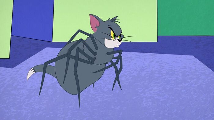 Spider-matou