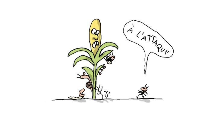 C'est quoi un dessin animé ?