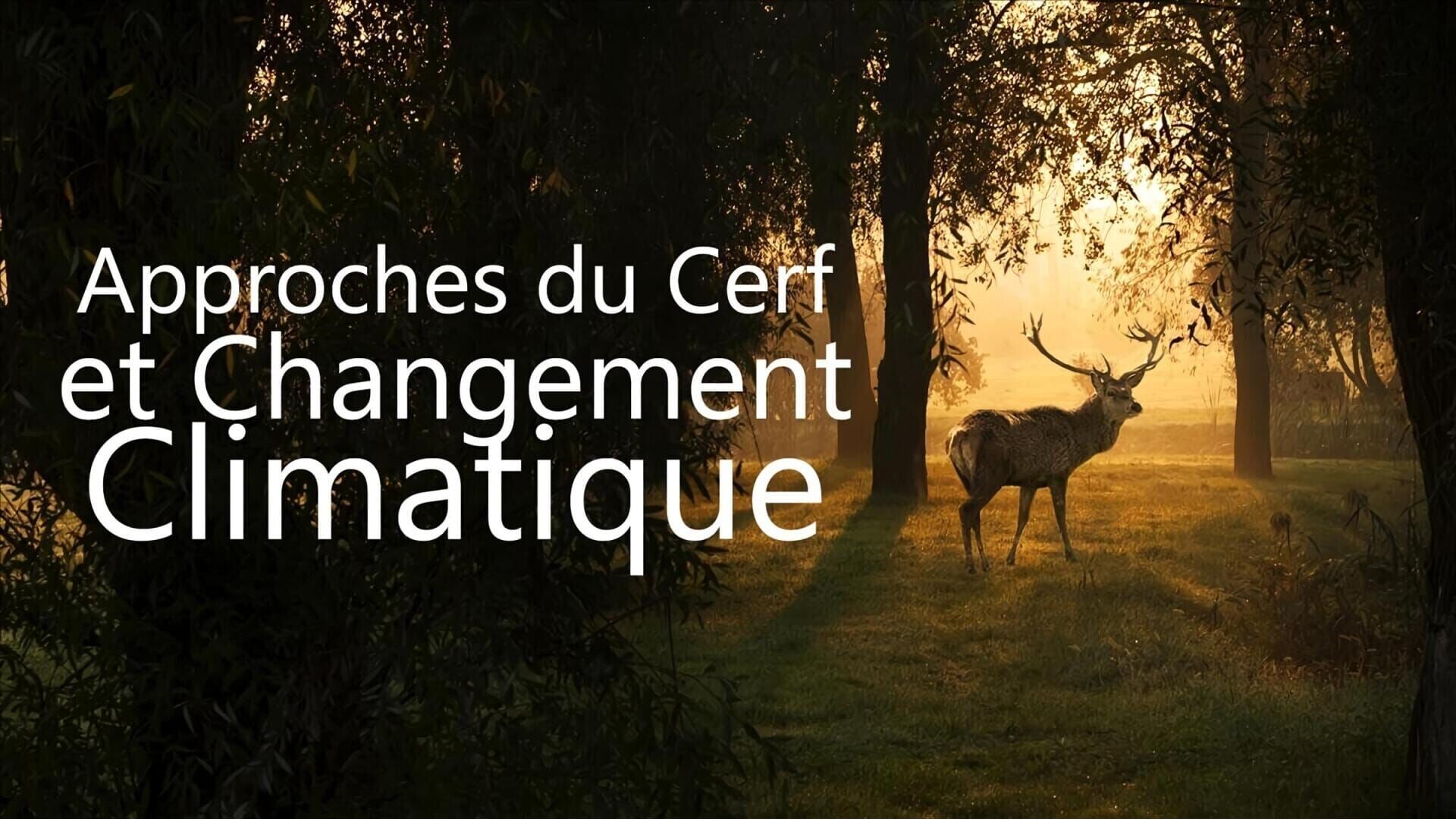 Approches du cerf et changement climatique