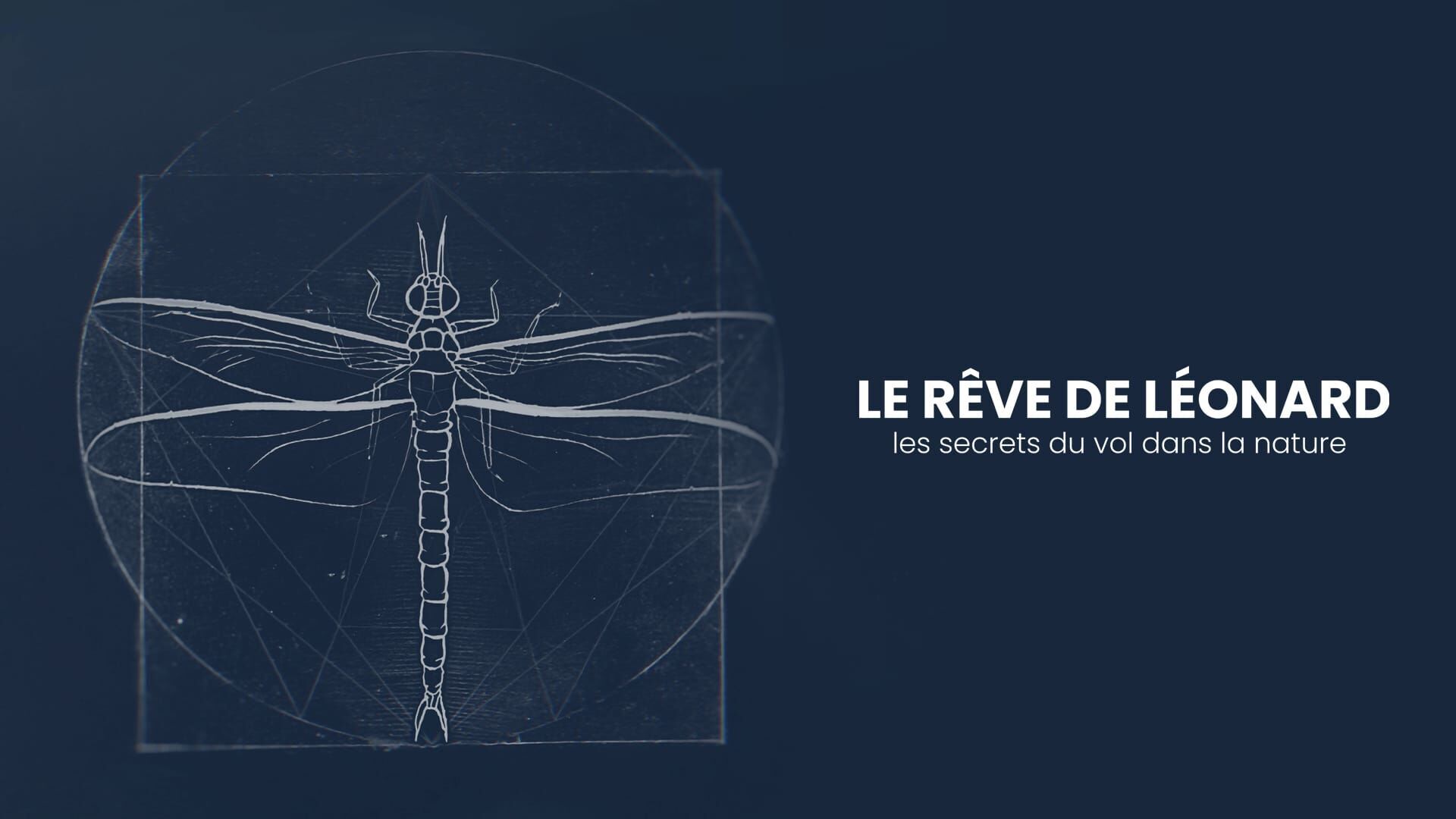 Le rêve de Léonard : les secrets du vol dans la nature