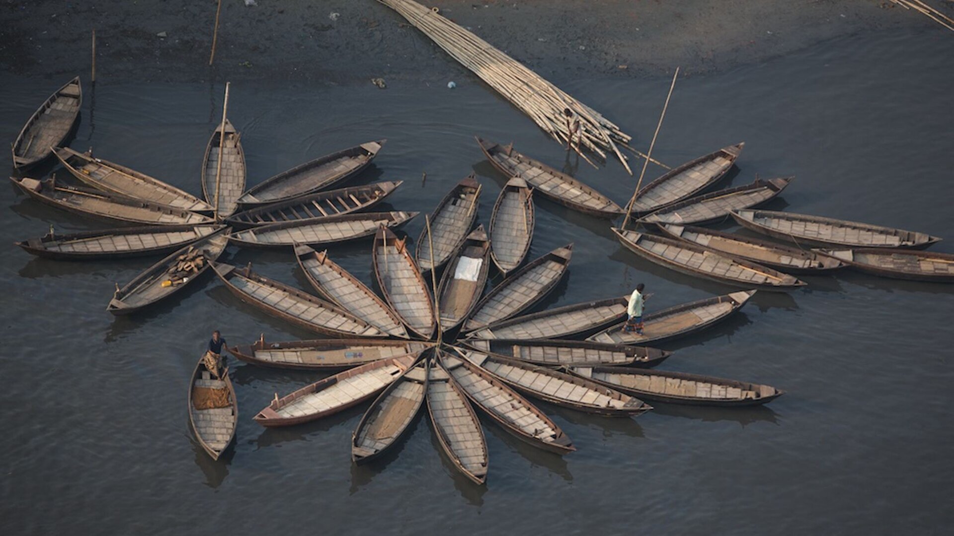 Les héros de la nature (Bangladesh) (2/2)