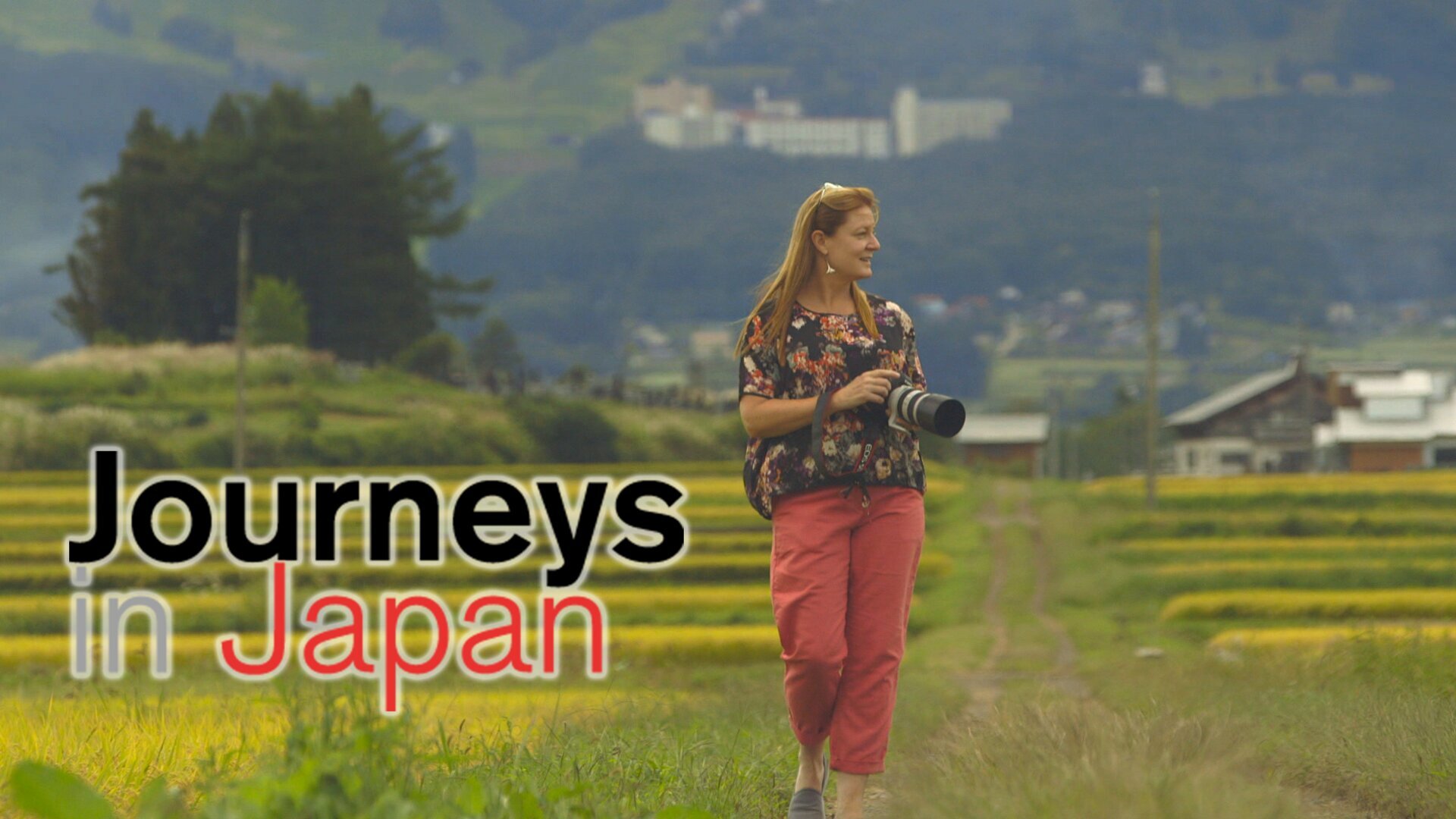 SHAKOTAN: Out of the Blue, Into the Frames