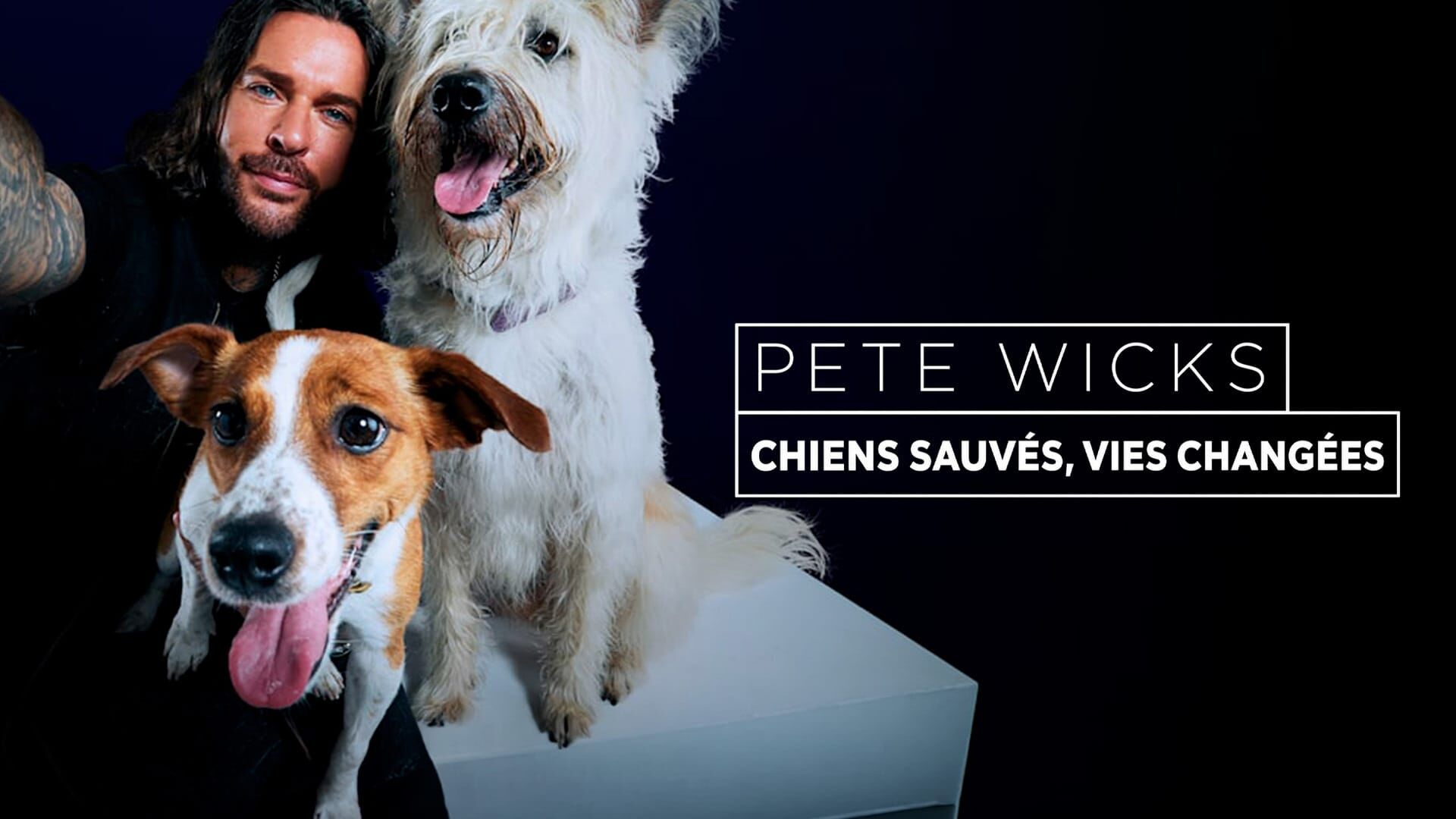 Mel, Murphy et Twist