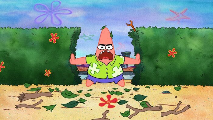 Trop de Patricks / Le tofu de la princesse