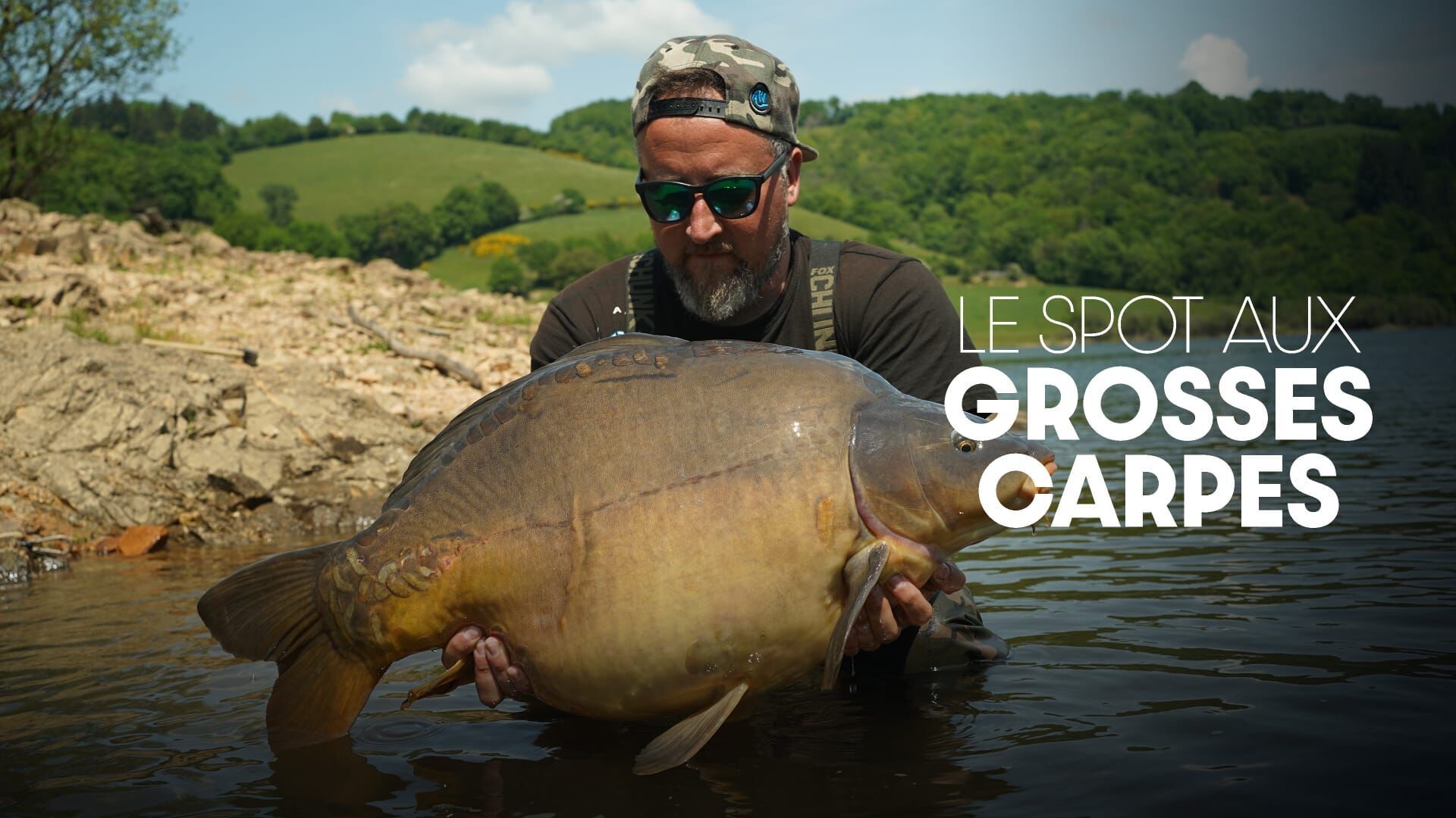 Le spot aux grosses carpes