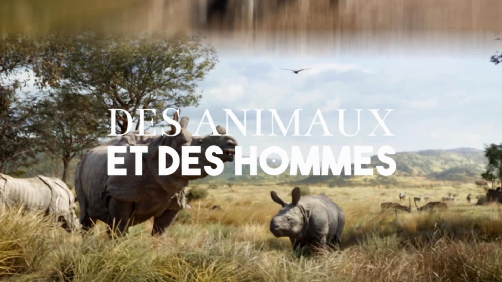 Des animaux et des hommes