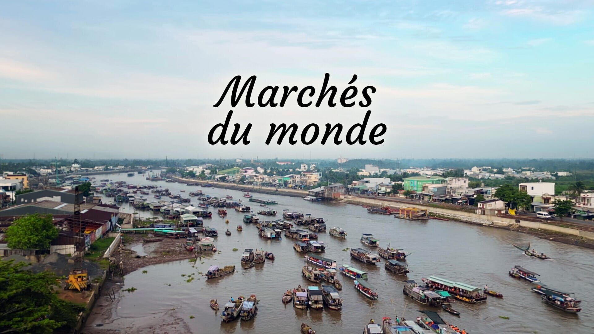 Cambodge, le marché aux insectes