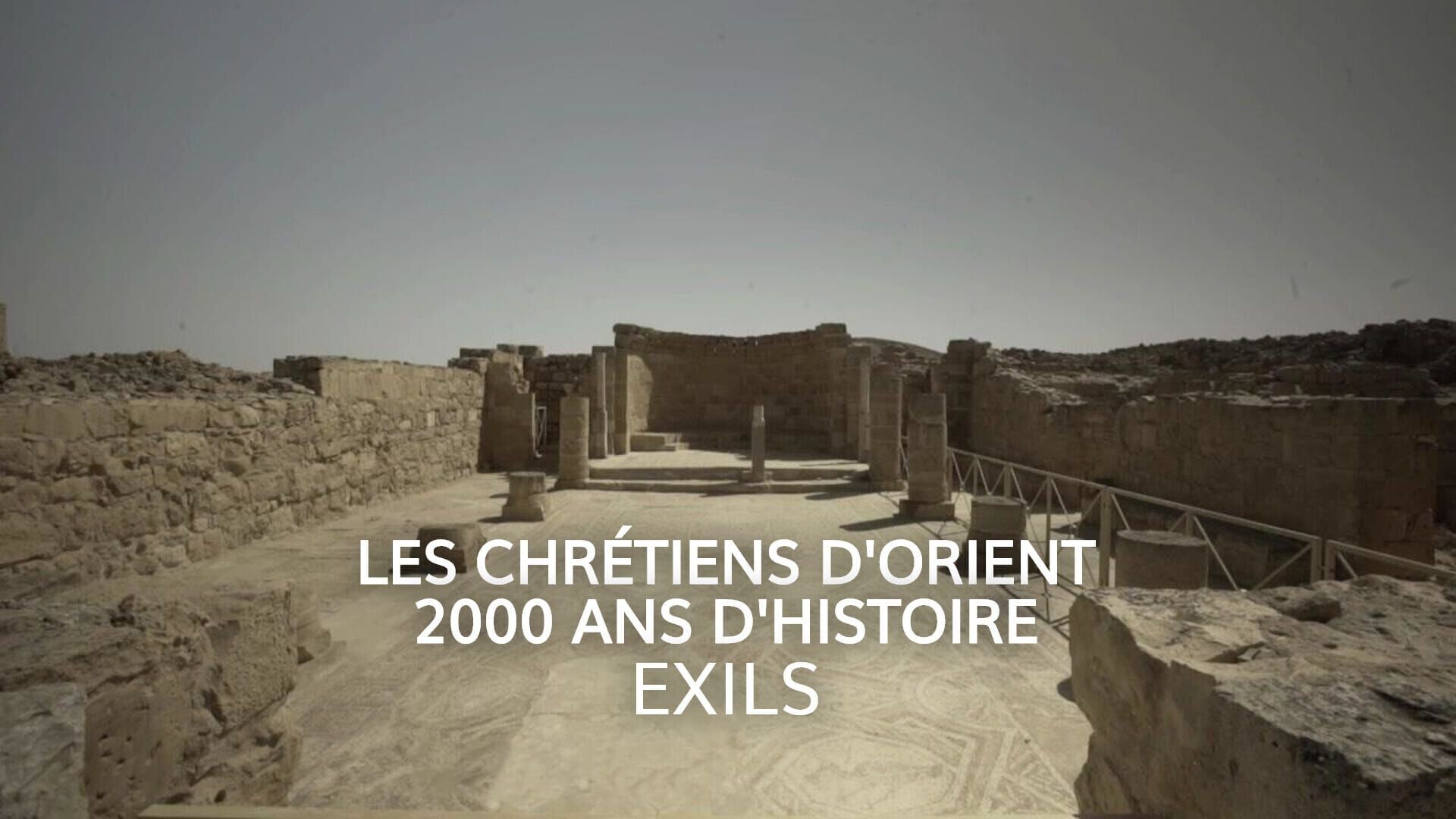 Les Chrétiens d'Orient, 2000 ans d'histoire : Exils