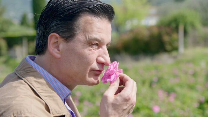 Les roses, de la Côte-d'Azur à la Bulgarie