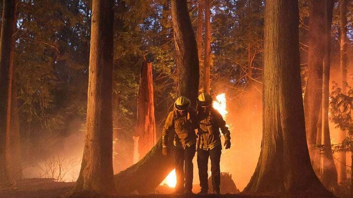 Au Cal Fire