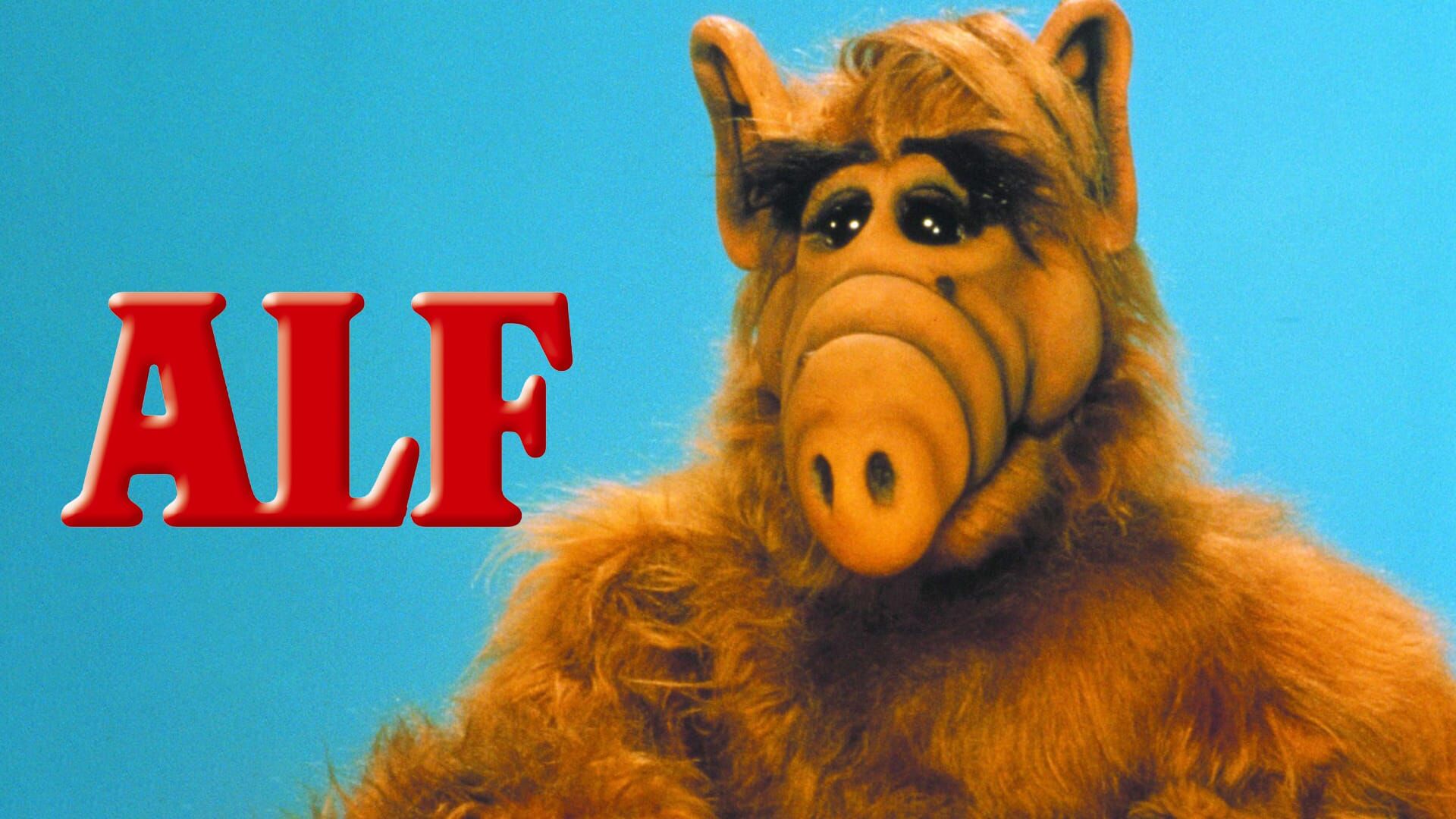 C'est dur la vie !