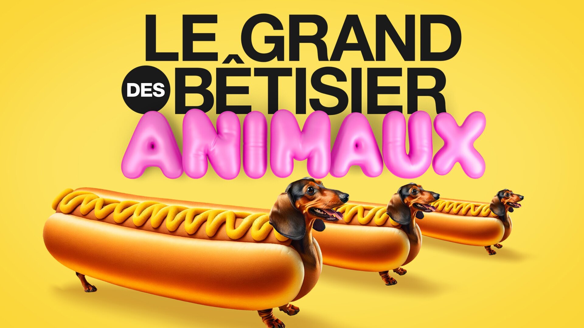 Le grand bêtisier des animaux