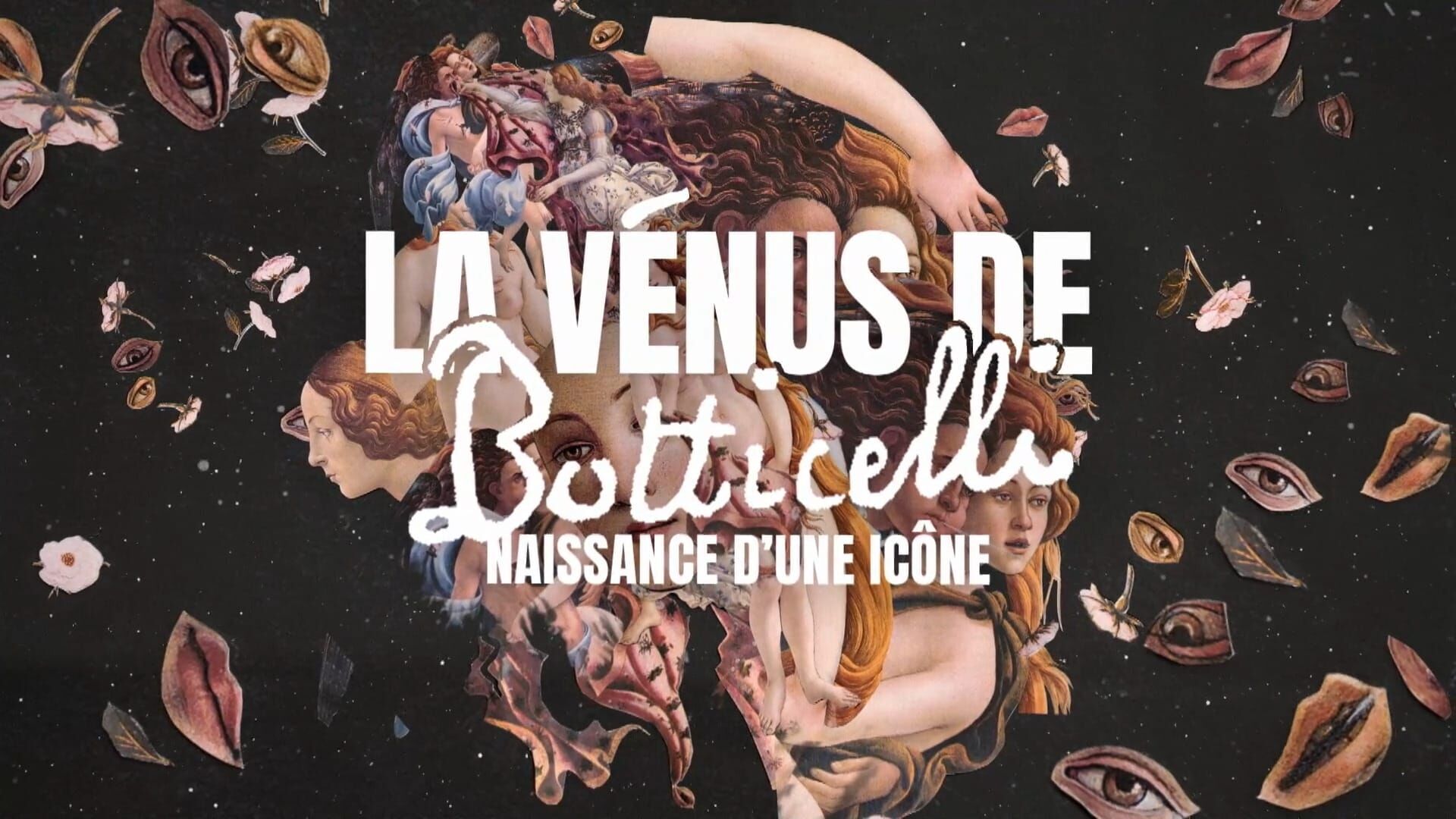 La Vénus de Botticelli, naissance d'une icône