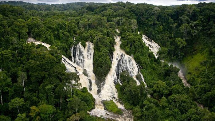 Les héros de la nature: Le Gabon