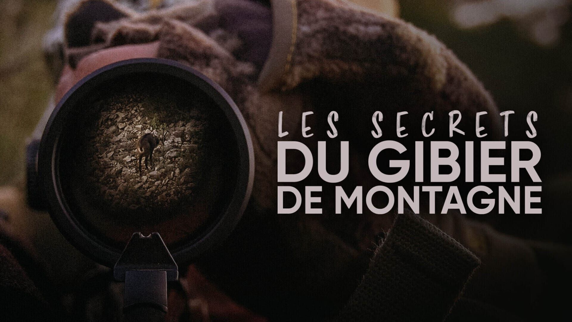 Les secrets du gibier de montagne
