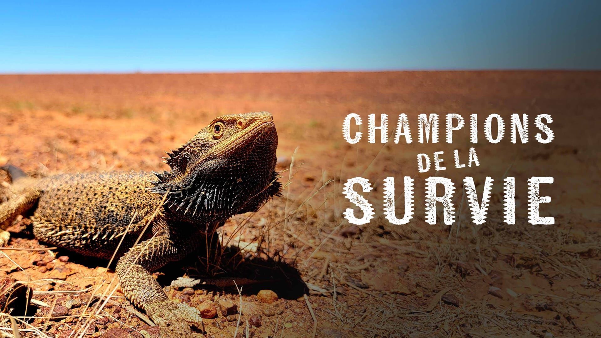 Sauvages terres humides