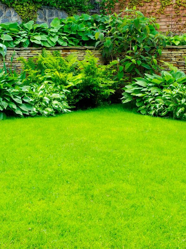 Visite du jardin d'Igor et Tamara