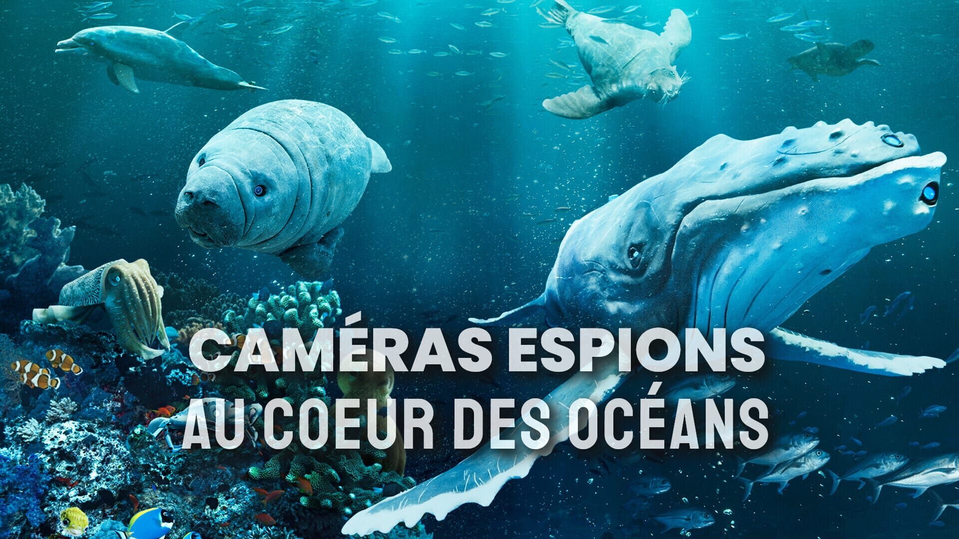 Ruse et séduction