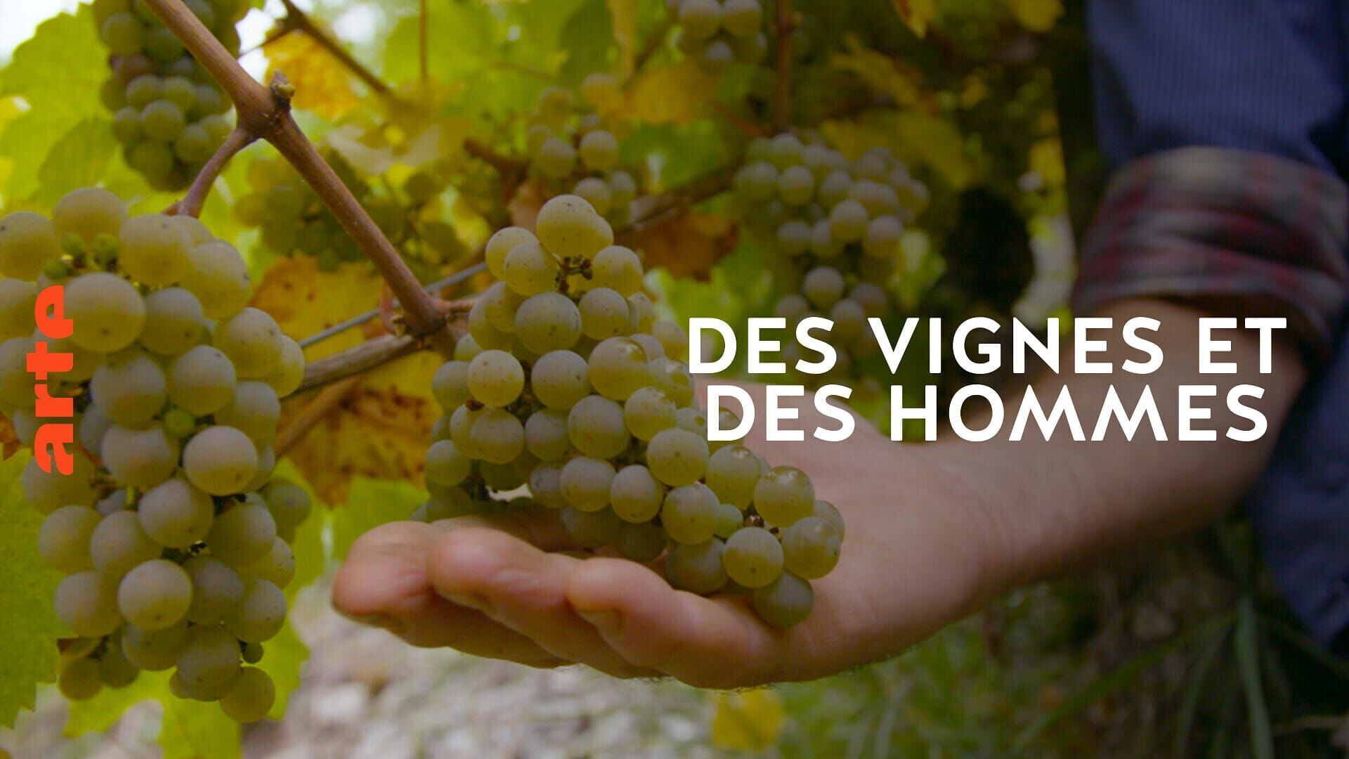 Allemagne : les défis du climat