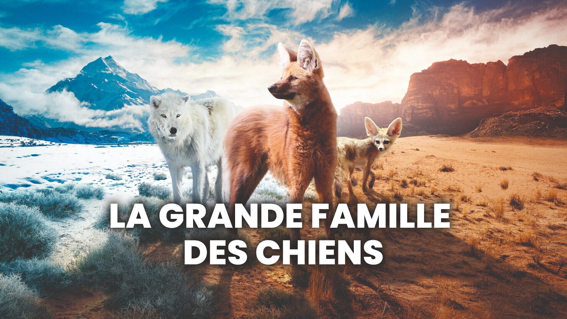 La grande famille des chiens