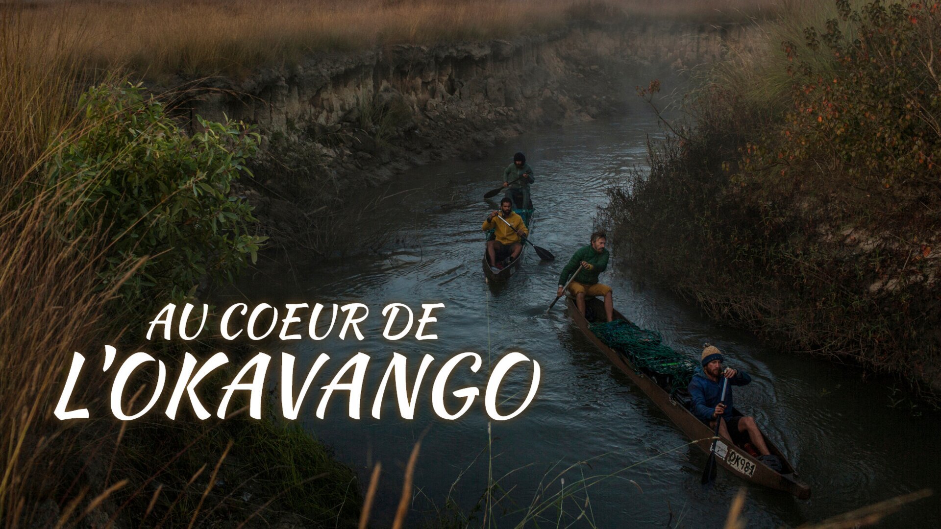Au coeur de l'Okavango