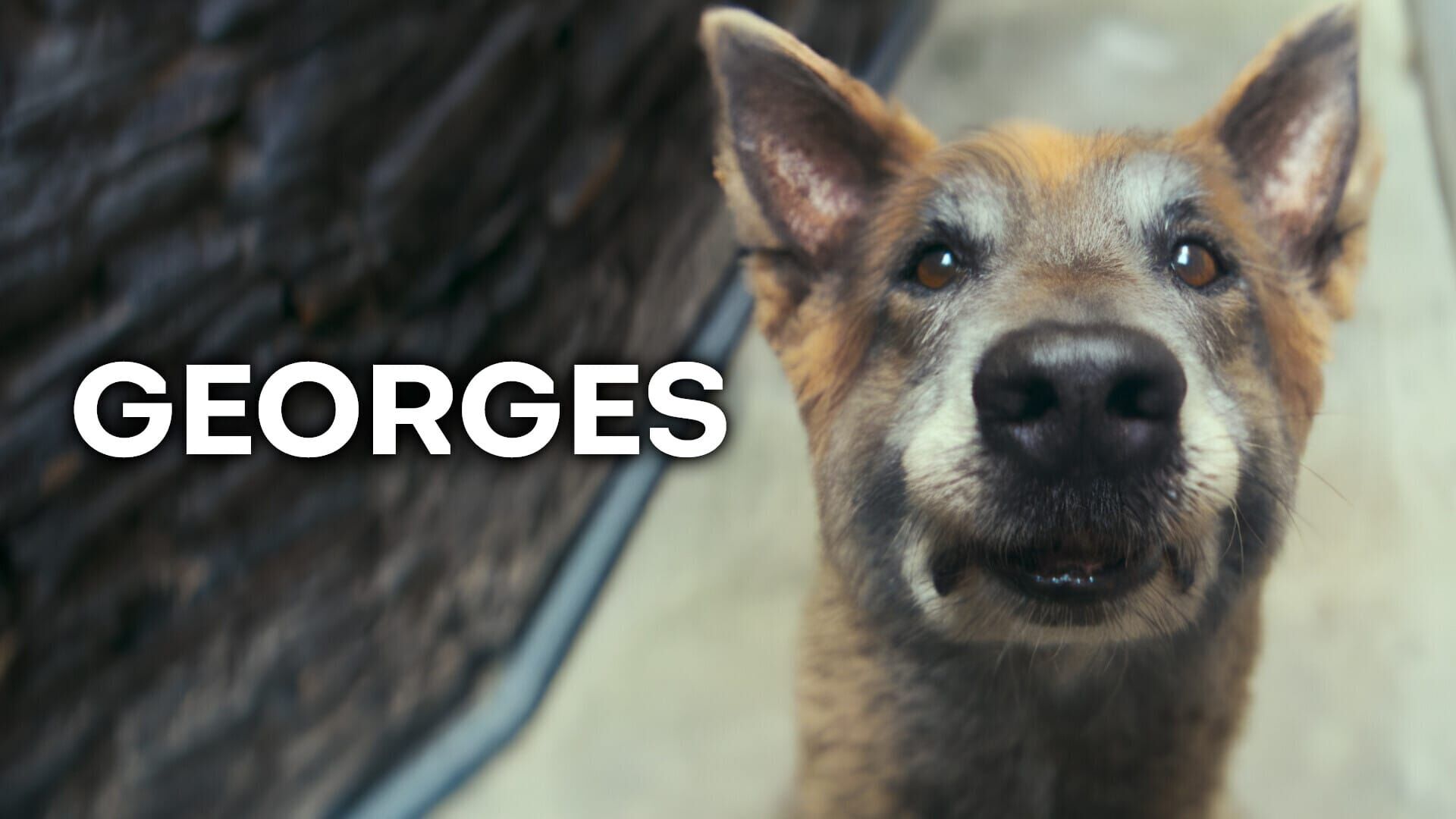 Georges
