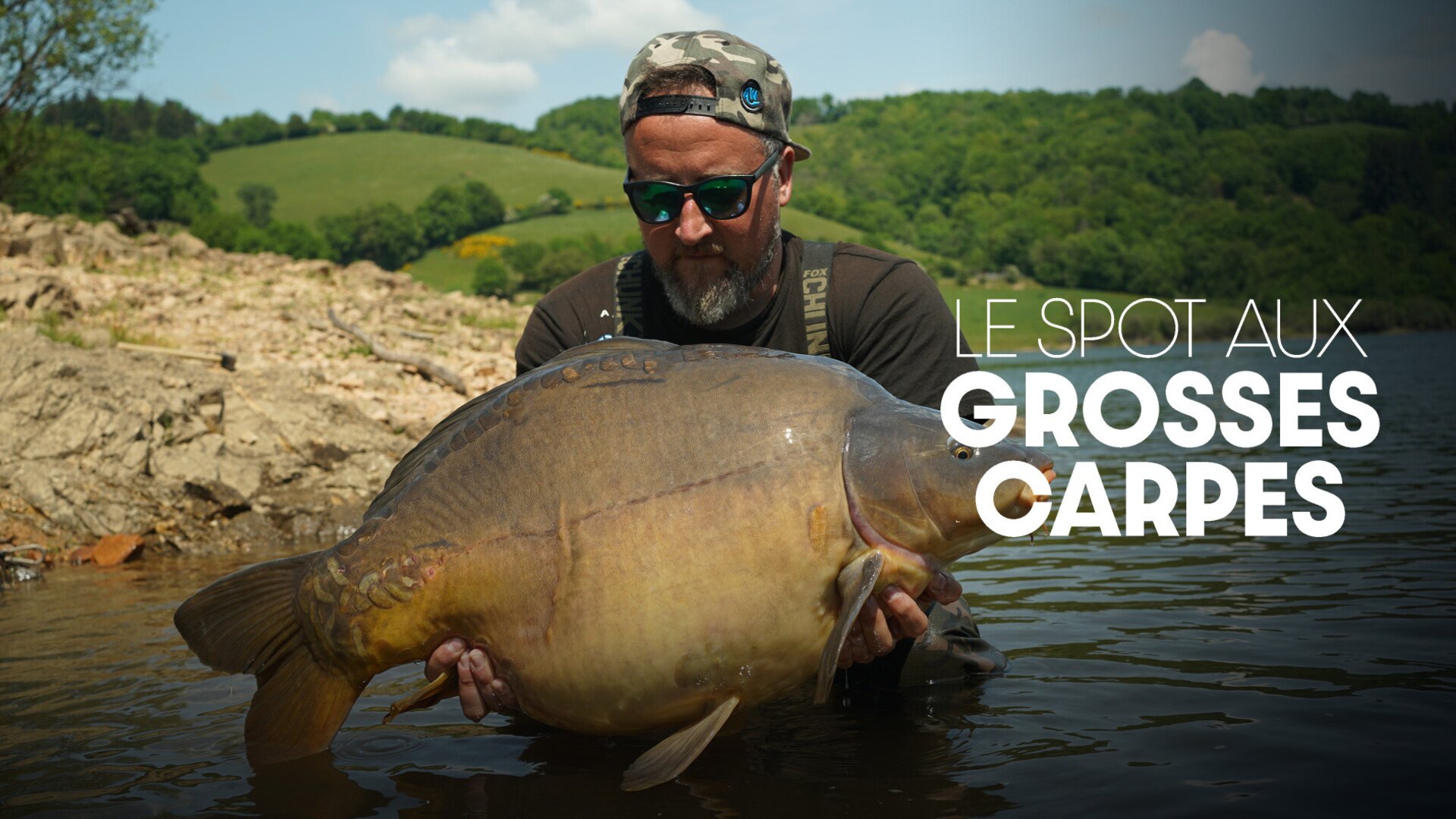 Le spot aux grosses carpes