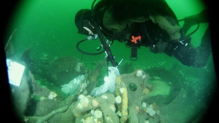 Epaves de guerre en mer du Nord : Une bombe à retardement