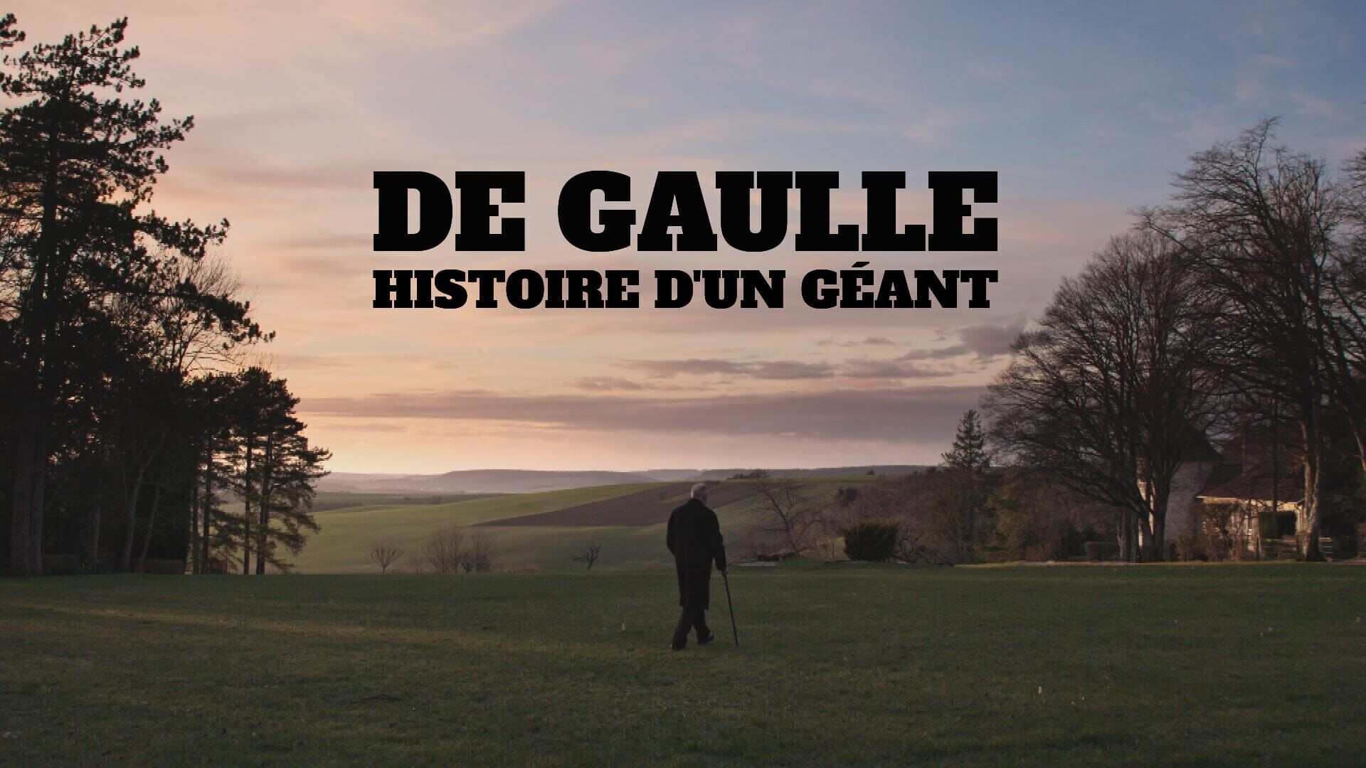 De Gaulle : histoire d'un géant