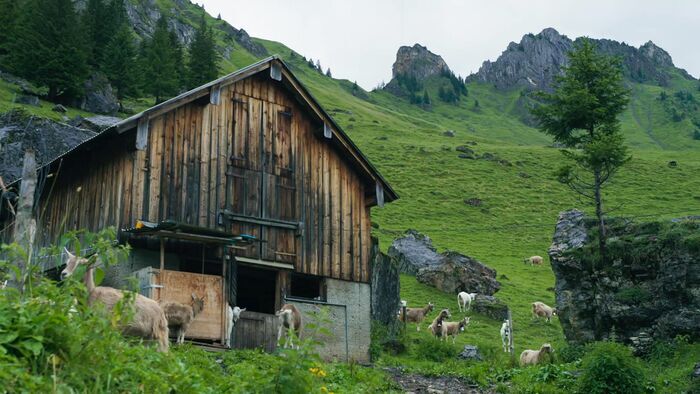 La fenaison en montagne, une tradition suisse