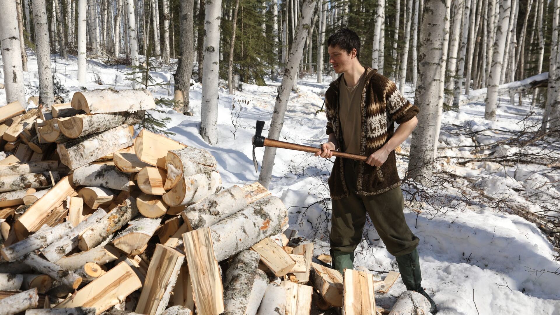 Roi de la forêt