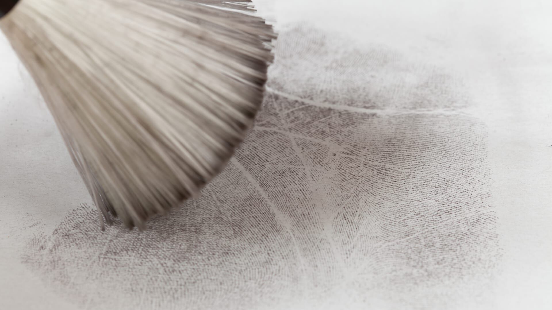 Undercover: Exposing a Terror Plot