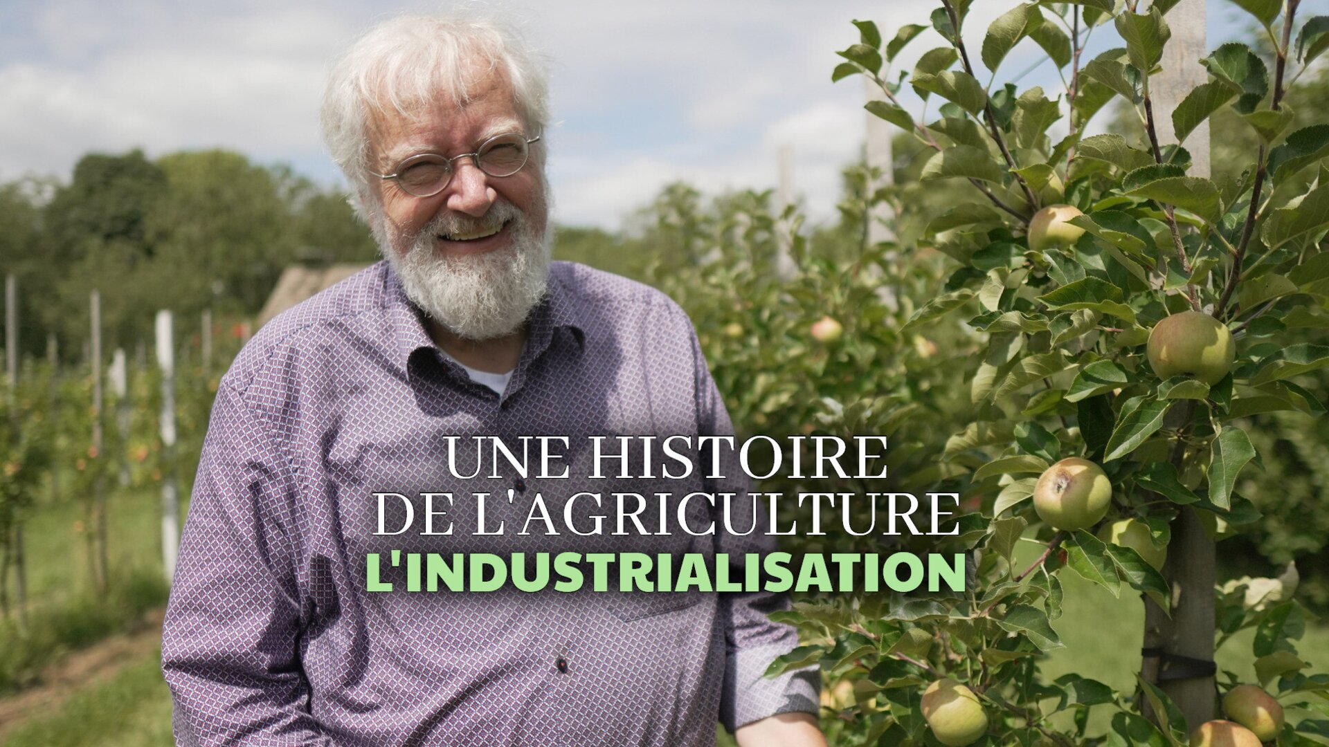 Une histoire de l'agriculture : L'industrialisation