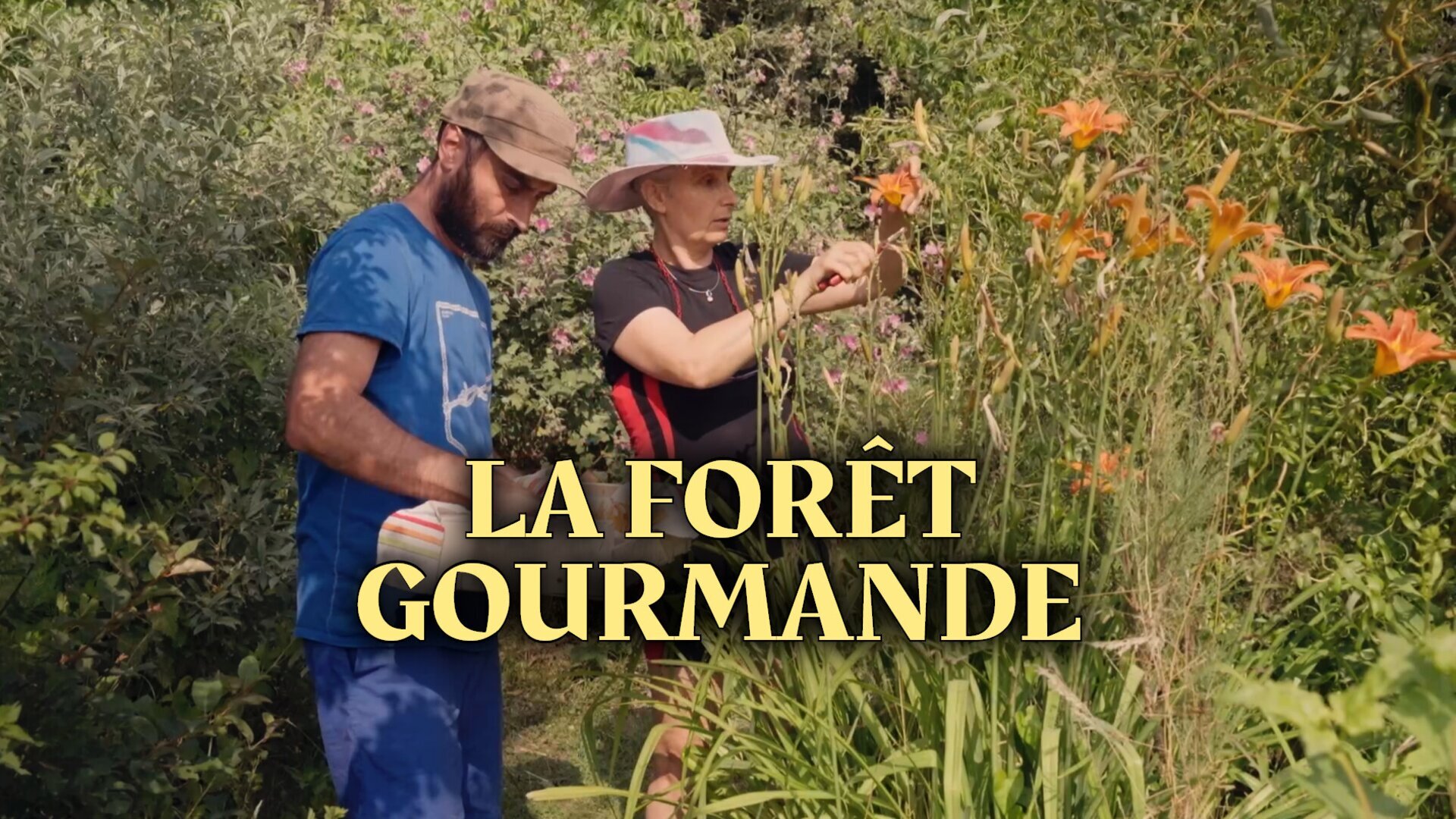 La forêt gourmande