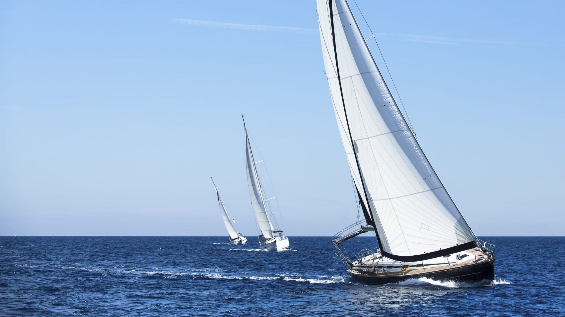 Voile : Grand Prix de San Francisco