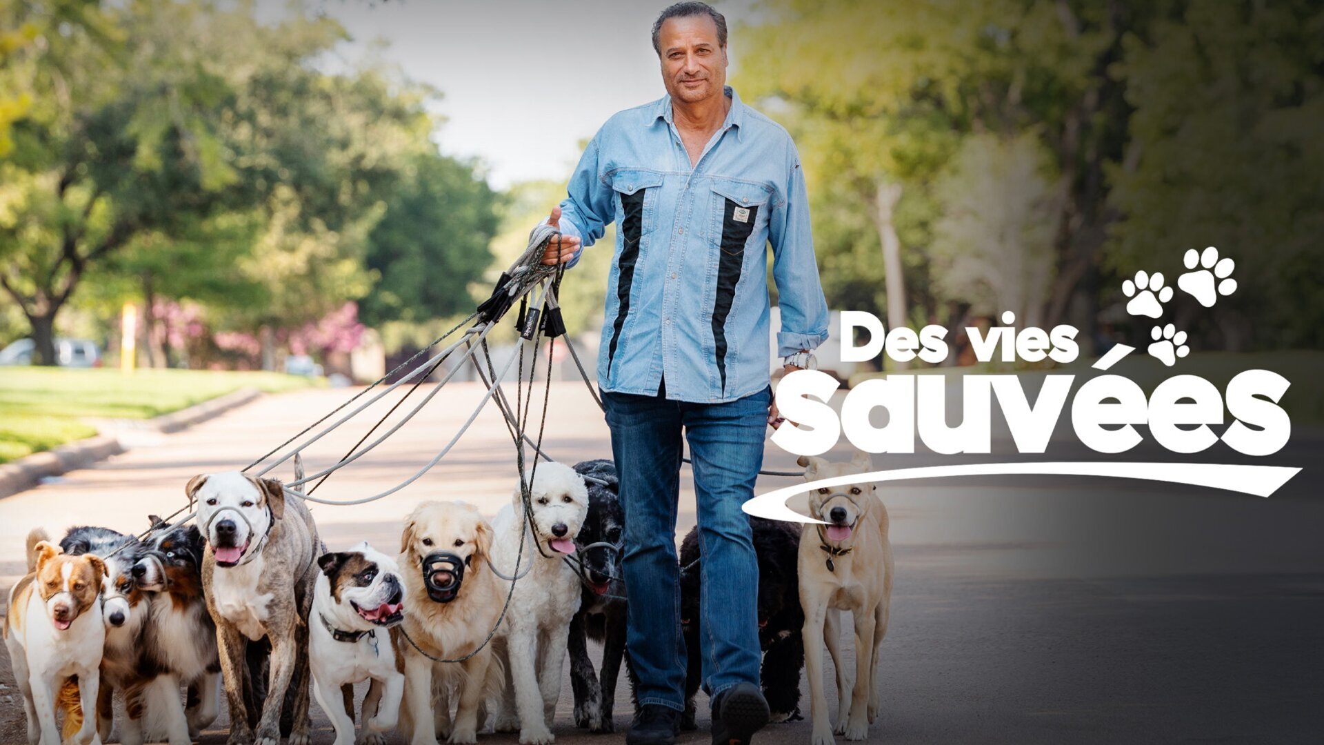 Sauvetage cinq étoiles