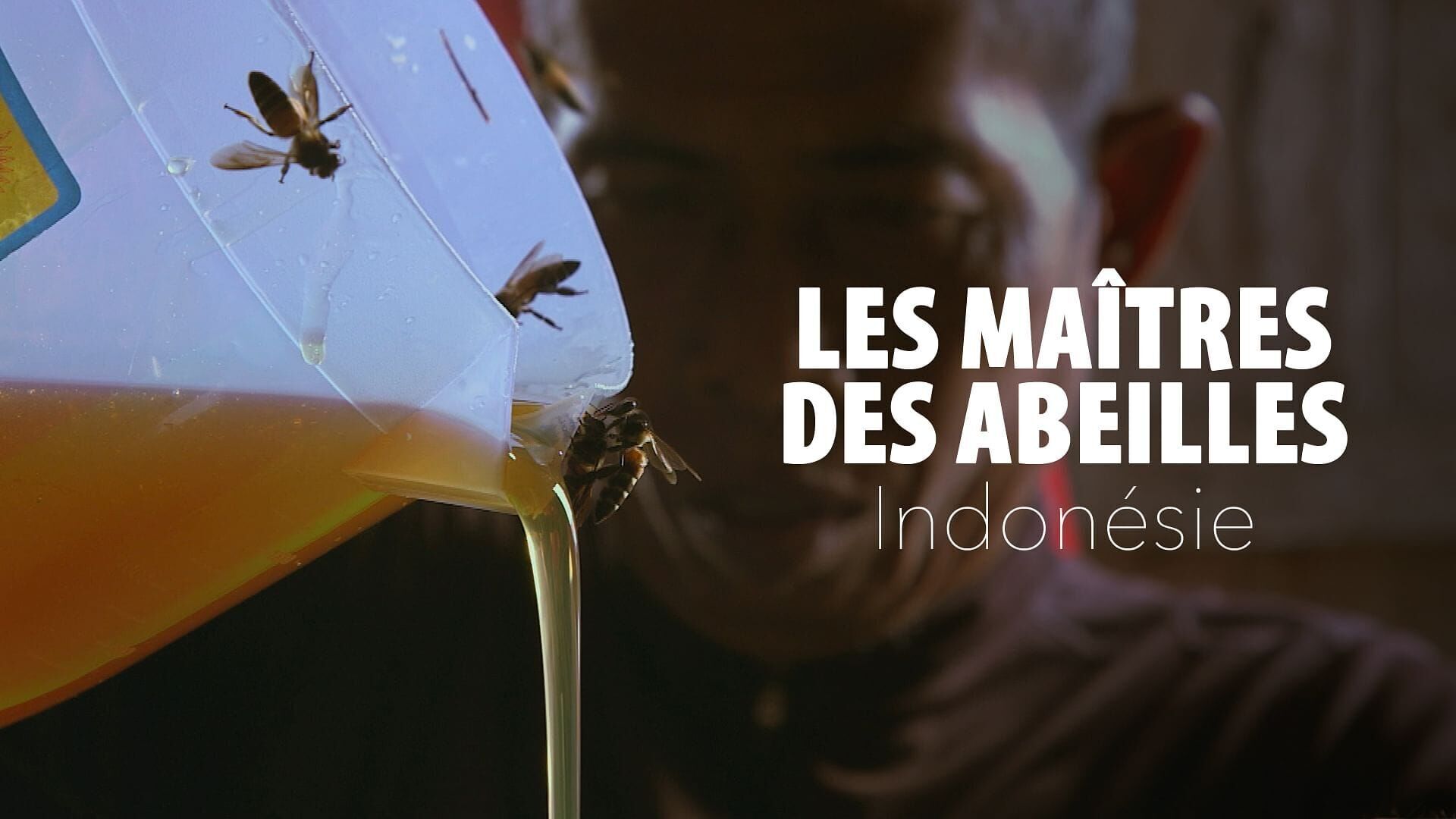 Indonésie, l'arbre à miel sacré