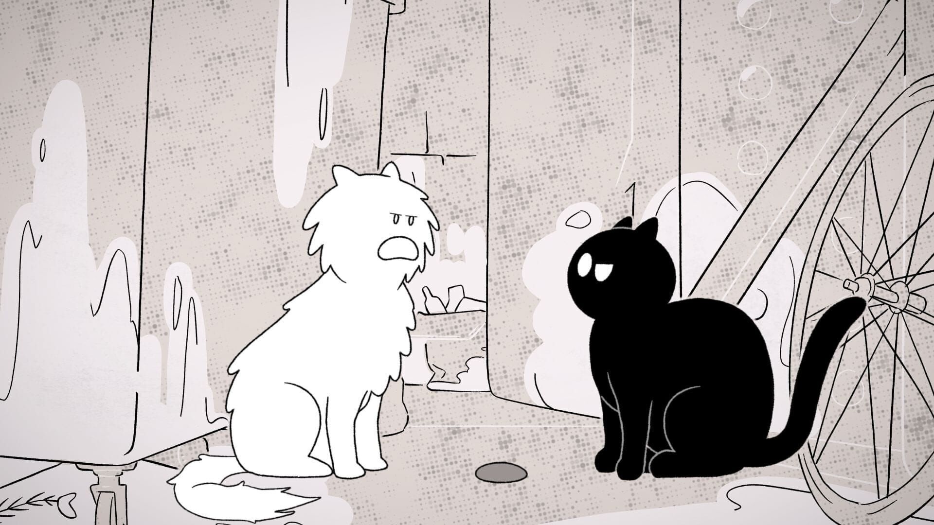 Chat perché